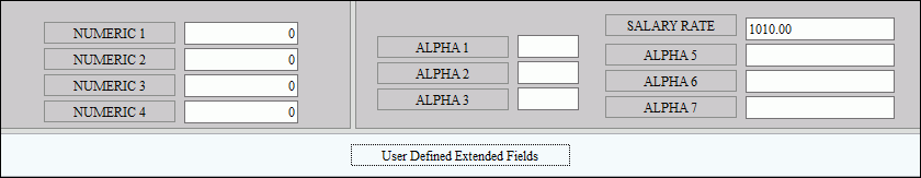 Employee Master Maintenance - User Defined Fields Area